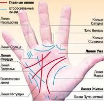 линия сердца